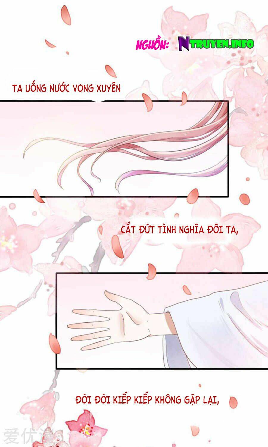 tôi bị gấu trúc nhìn trúng rồi chapter 1 1