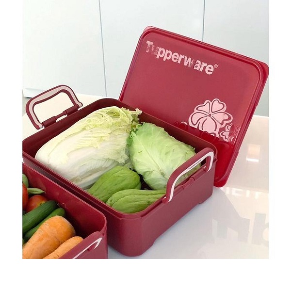 Bộ 2 Hộp bảo quản thực phẩm, ngâm, muối dưa, kim chi 5,5L-6,9L