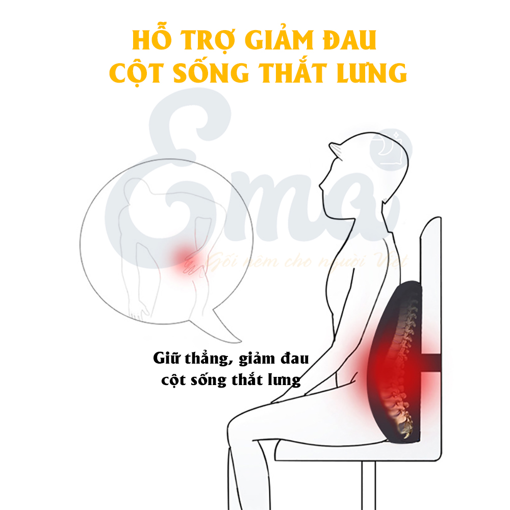 Gối tựa lưng văn phòng cao su non EMA chống đau mỏi thắt lưng cho dân văn phòng, lái xe - Giữ tư thế ngồi thẳng, giảm đau mỏi khi phải ngồi lâu - Đen lưới (không có gel lạnh)