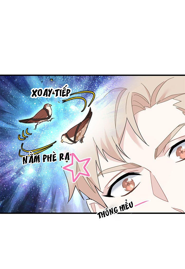 công chúa của loài chim chapter 3 77