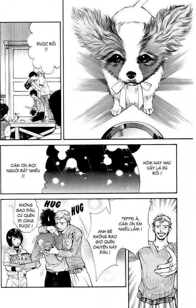 cô nàng yêu chó chapter 15 14