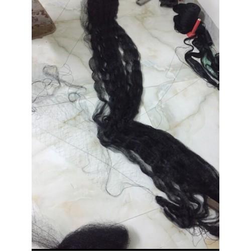 Lưới Bẫy Chim Cu Gáy 20M Cao 5m sợi 15