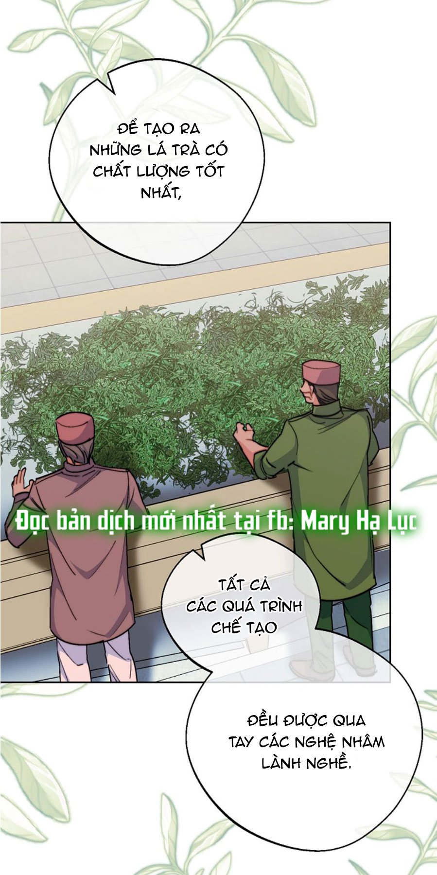 50 công thức pha trà của nữ công tước chapter 129 24