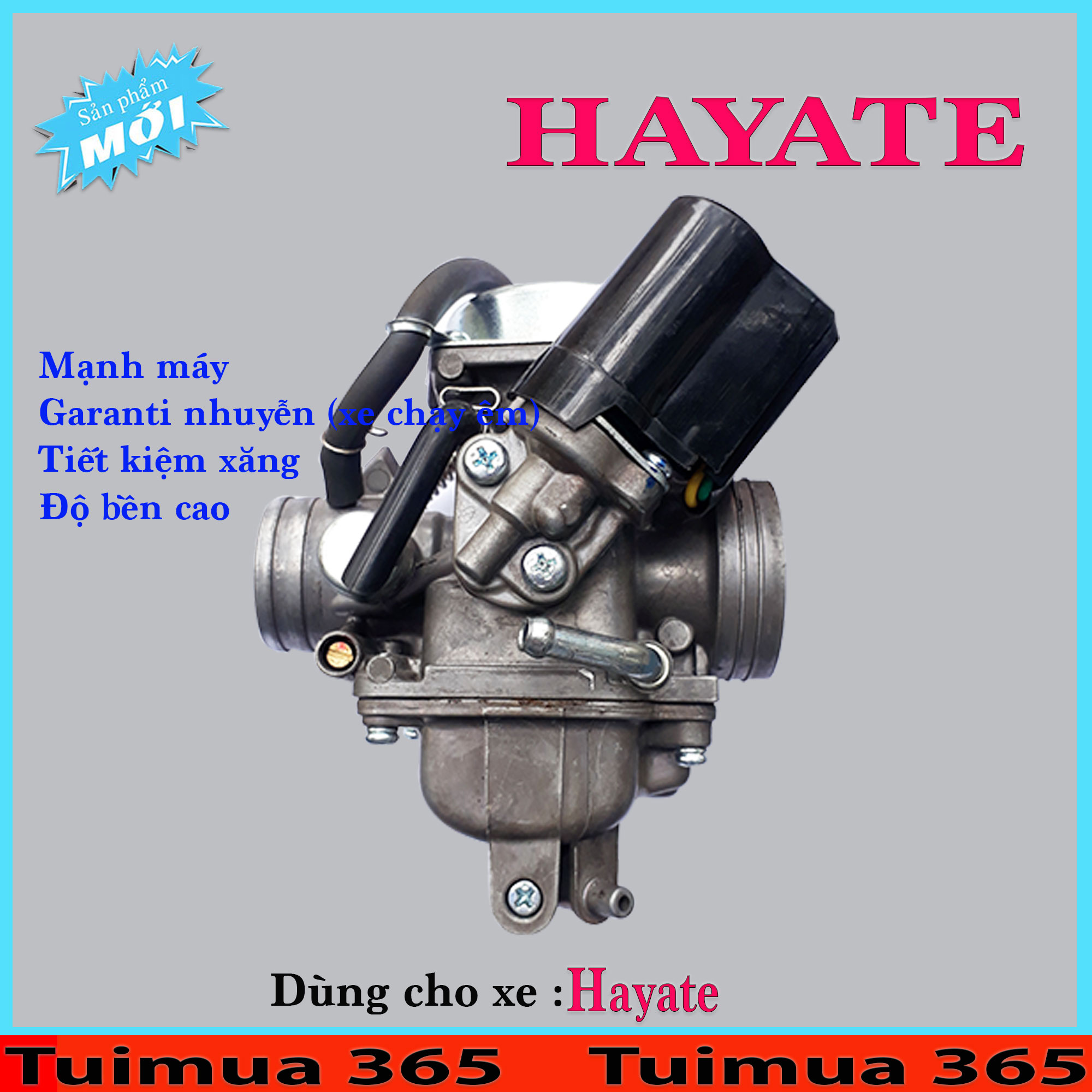 Bình Xăng Con (Bộ Chế Hòa Khí ) dành cho HAYATE