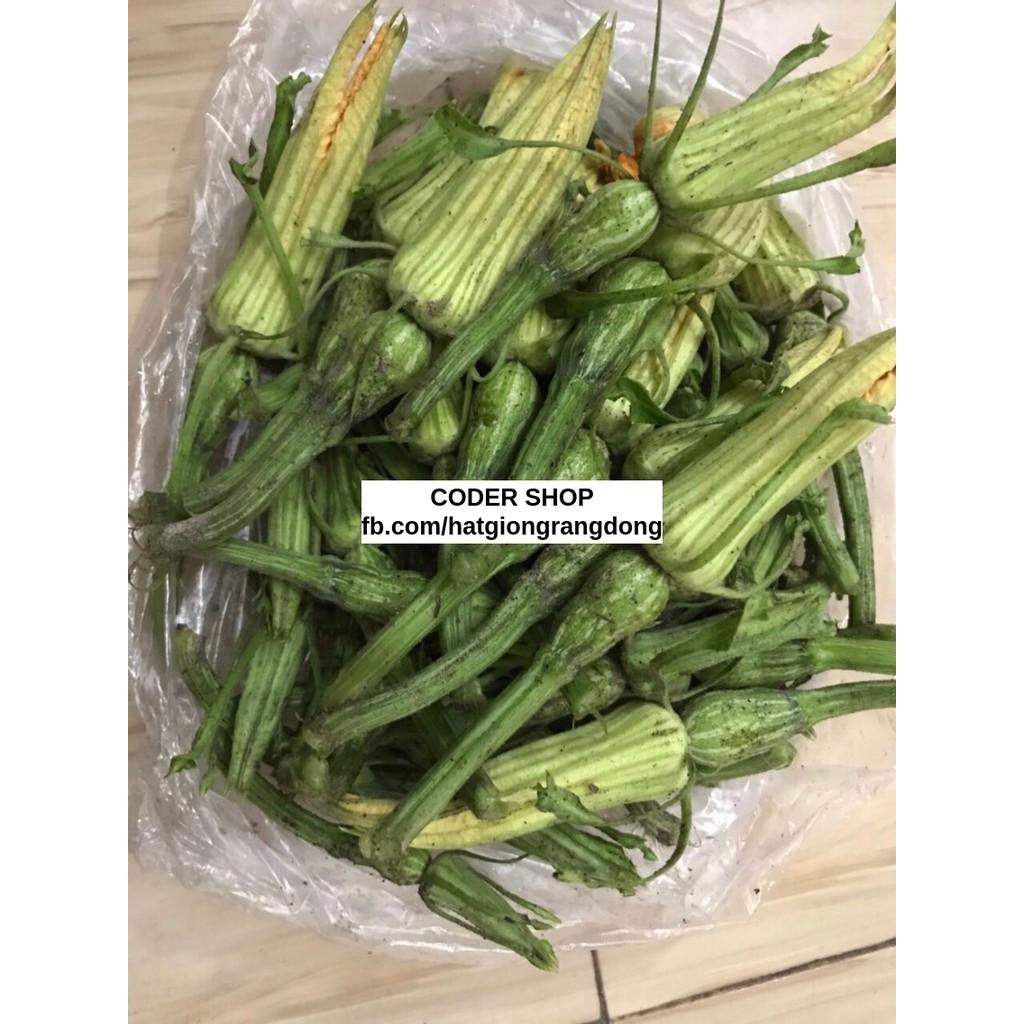 Hạt Giống Bí Nụ Rạng Đông 0.5Gram