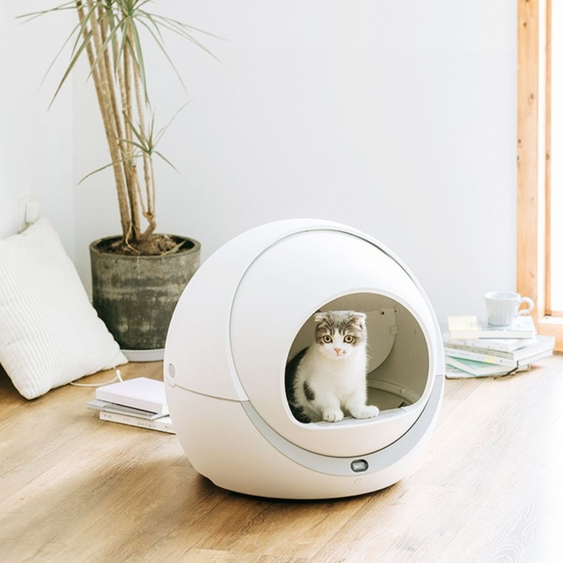 Nhà vệ sinh cho mèo tự động , có cảm biến trọng lực thông minh nhận biết khi mèo ra vào - Sản Phẩm Có Kèm Video Và Ảnh Thật