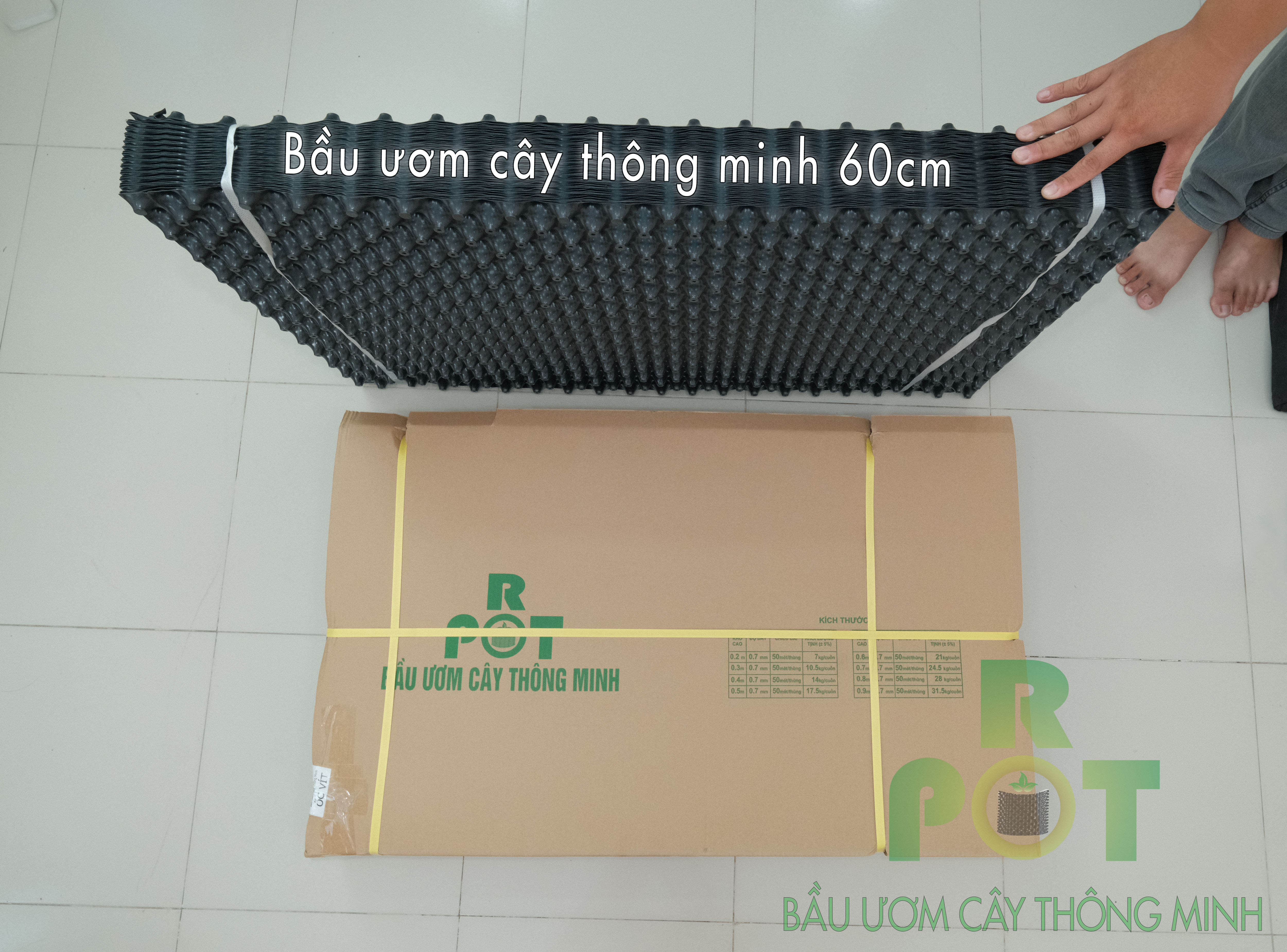 Bầu Nhựa Ươm Cây Thông Minh RoPot 60cm x 5m 