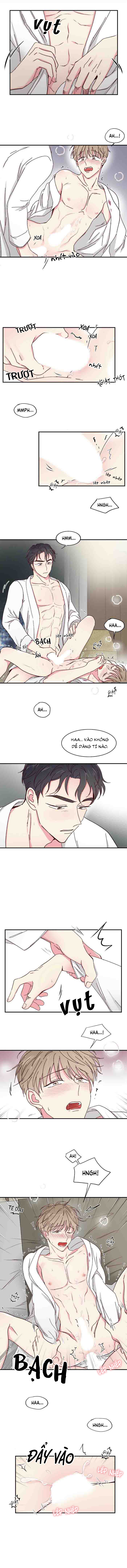 món tráng miệng của sếp tổng chapter 19 5