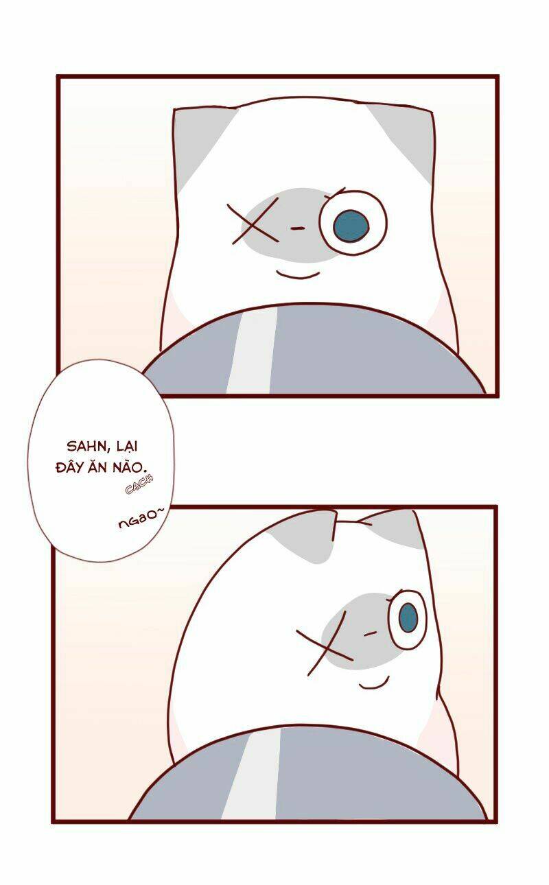 saphie: chú mèo một mắt chapter 8 5