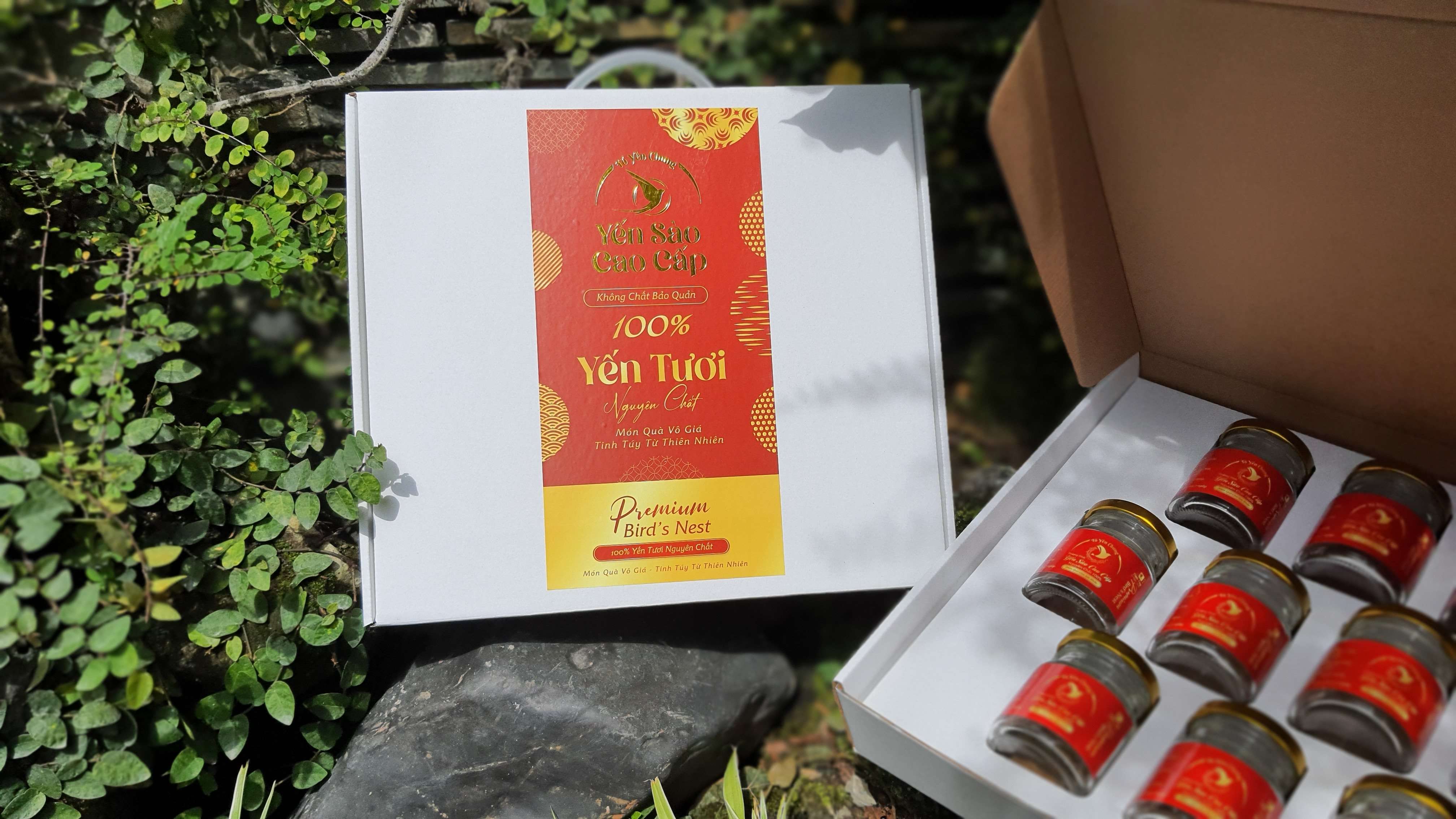 Hộp đựng 10 hủ yến chưng cao cấp