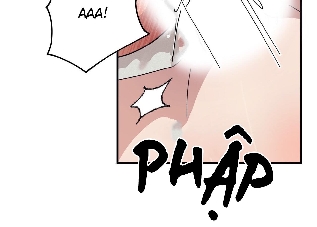 chàng dâu nhà họ kang chapter 44 148