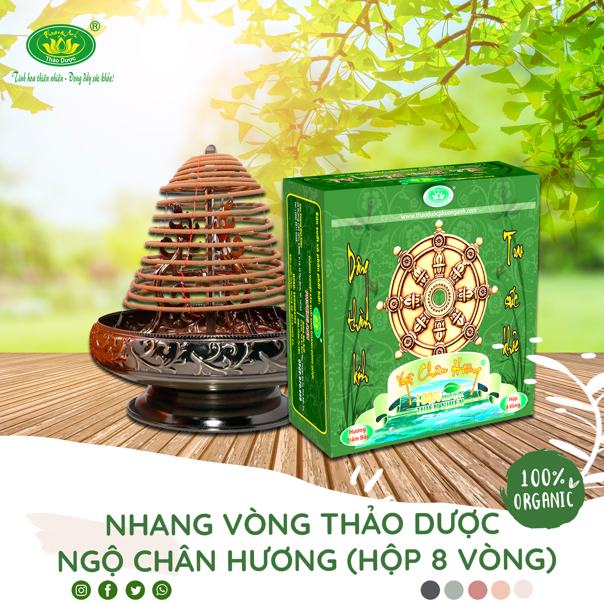 Nhang vòng thảo dược Ngộ Chân Hương hương Trầm Bắc