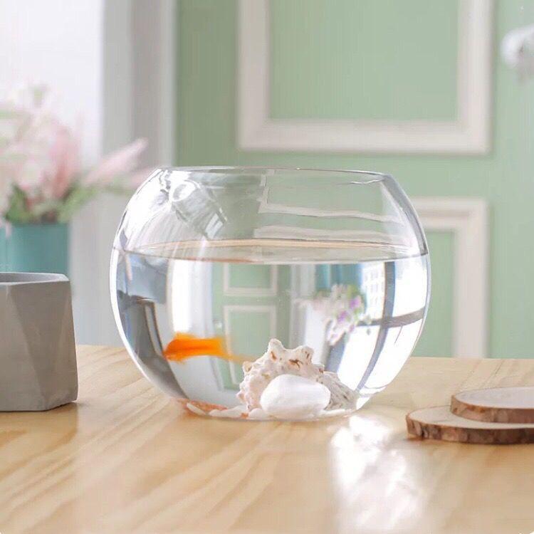 Bình Thủy Tinh tròn chuyên dùng trồng cây thủy sinh, thủy canh, bình nuôi cá để bàn