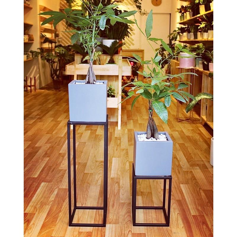 Chân sắt chậu vuông 20x20