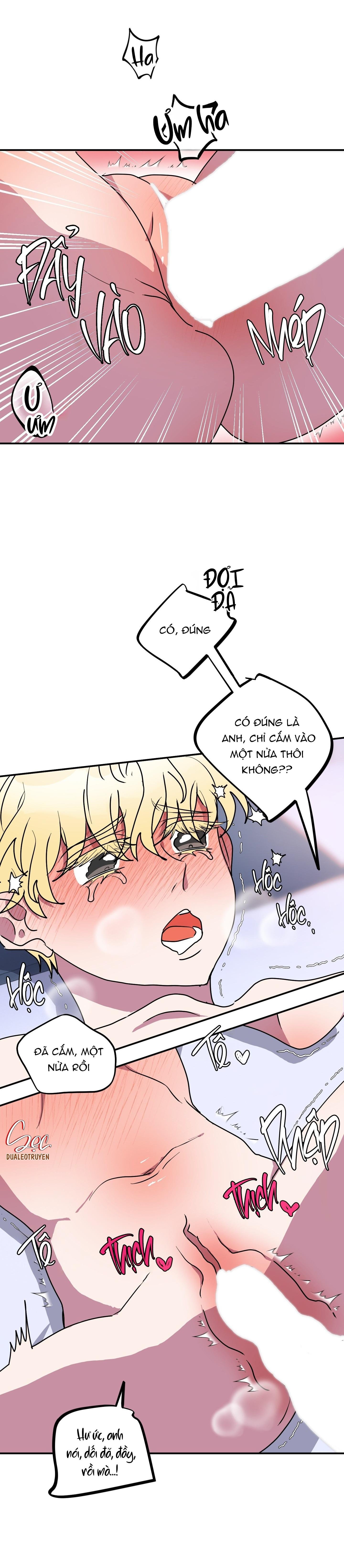 cá mập và cô dâu thỏ chapter 50 19