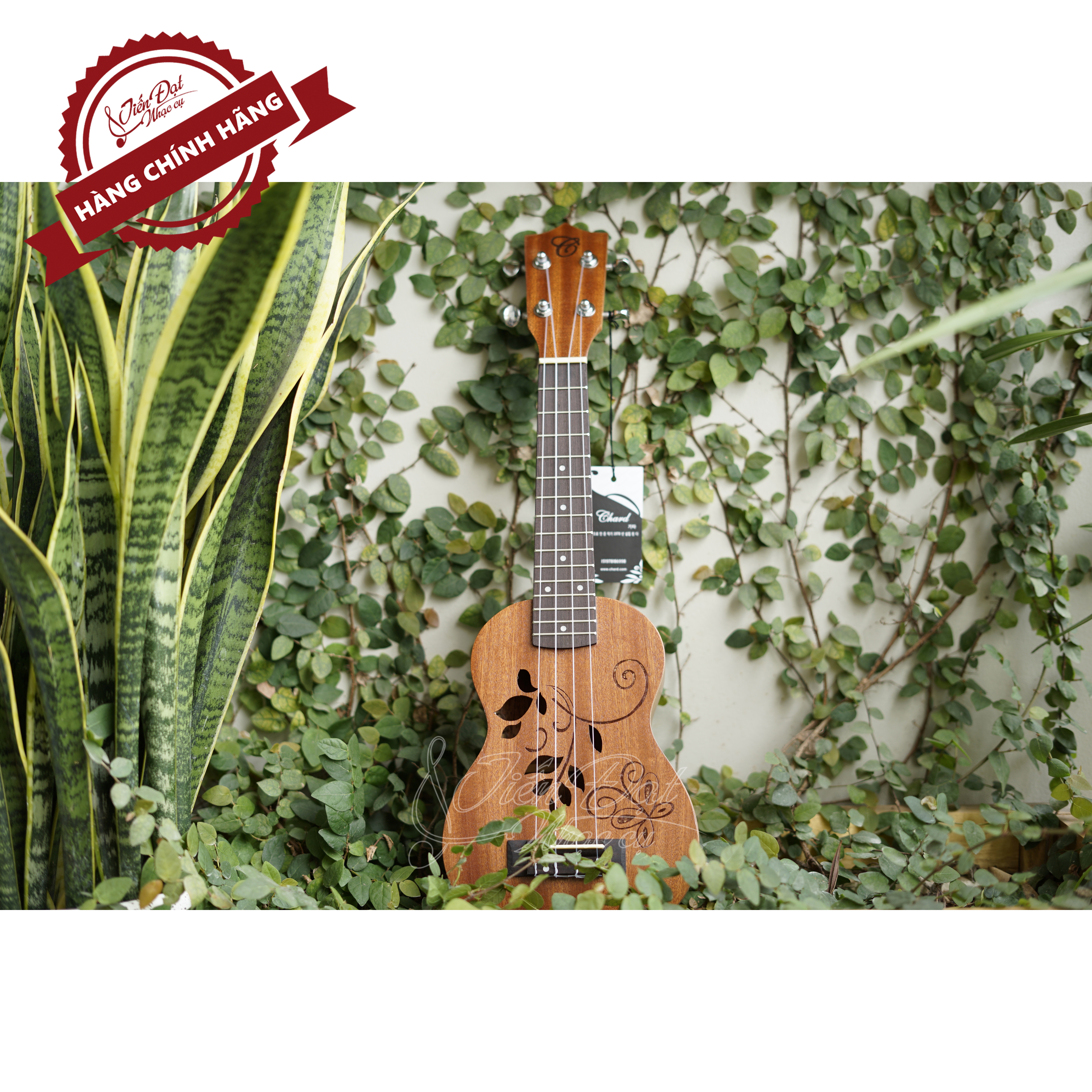 Đàn Ukulele Soprano CHARD U-21H, Mặt Đàn Gỗ Gụ