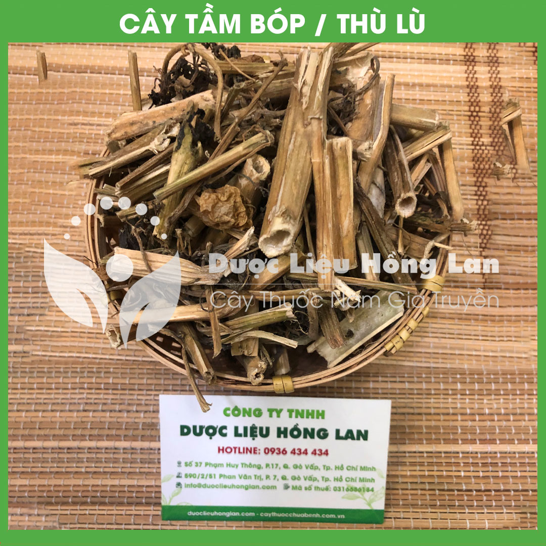 500gram Cây Tầm Bóp (Thù Lù) khô sạch