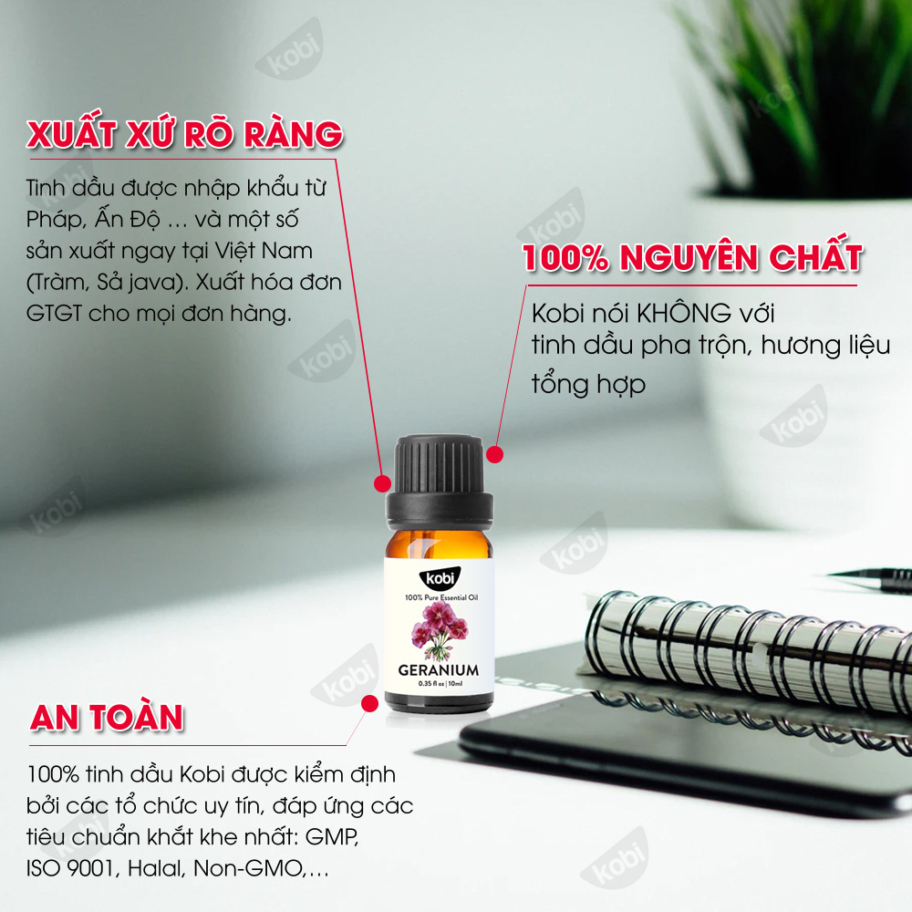 Tinh Dầu Phong Lữ Kobi Dùng Xông Phòng Giúp Giảm Stress, Chống Viêm Nhiễm -5ml