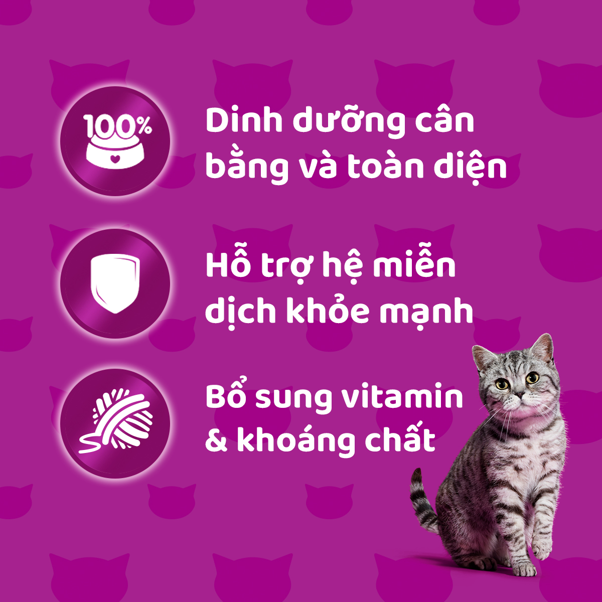 WHISKAS Thức ăn cho mèo lớn dạng sốt vị cá saba nướng 80g (12 gói)