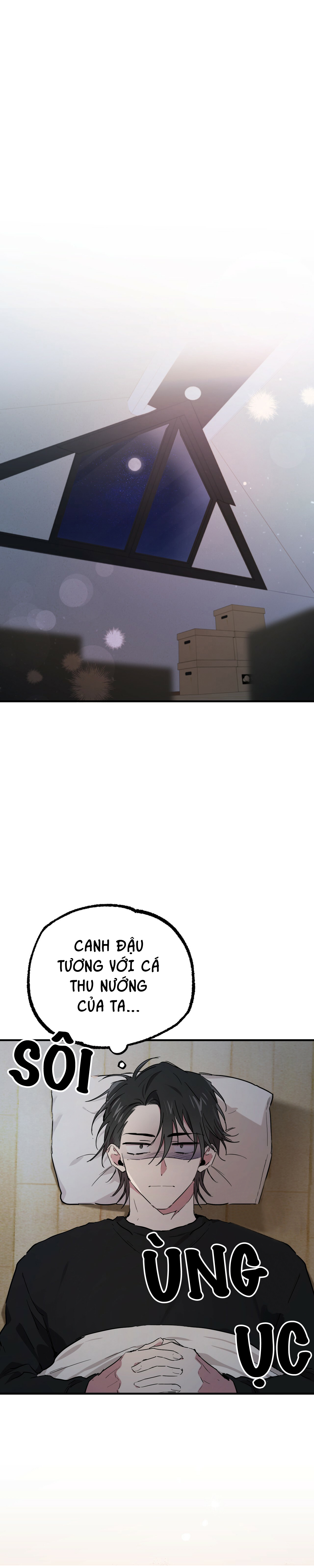 những chú thỏ của hapypy chapter 14 17