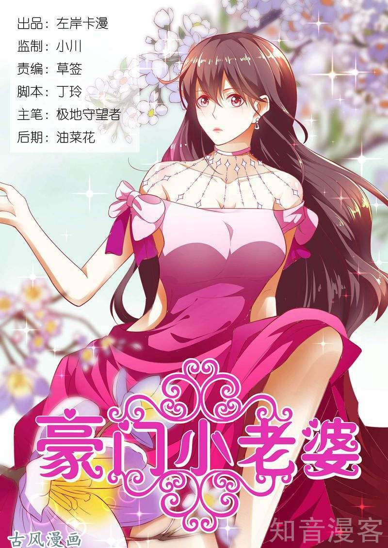 hào môn tiểu lão bà chapter 163 1