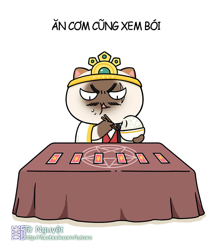 nếu lịch sử là một bầy mèo chapter 10 15