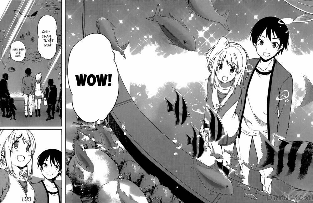 imasugu oniichan ni imouto datte iitai chapter 14 7