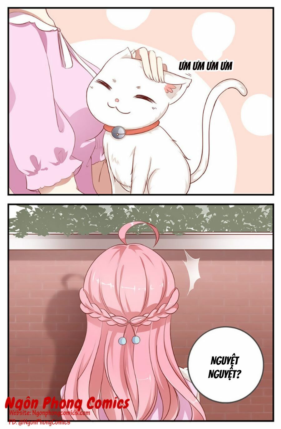 cả thế giới đều không bằng người chapter 11 17