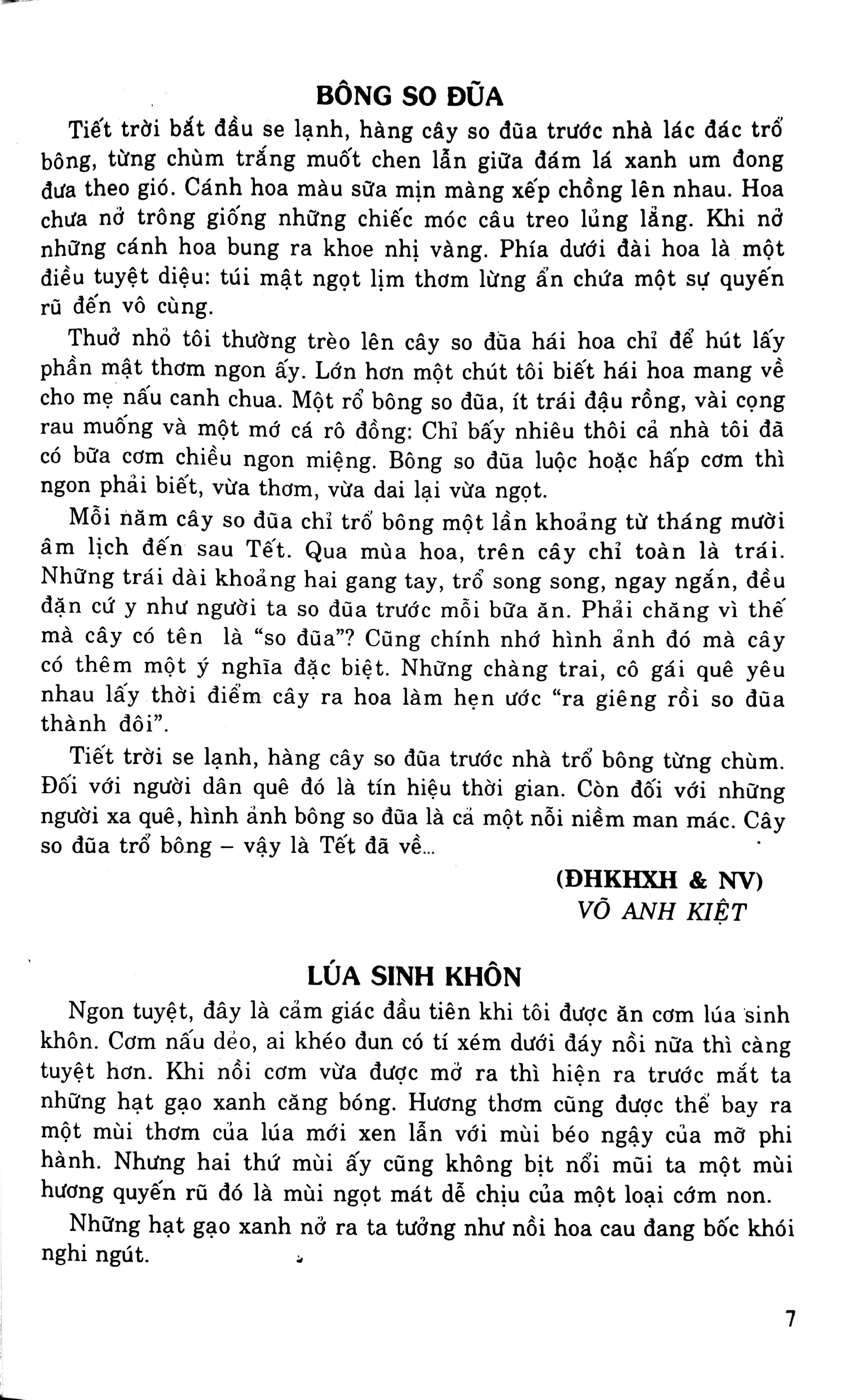 Luyện Viết Văn Hay Lớp 9