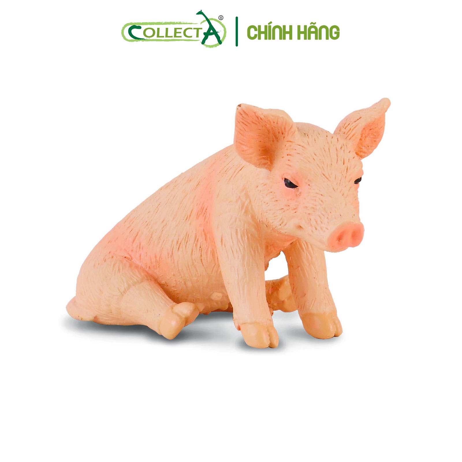 Mô hình thu nhỏ: Lợn con - Ngồi - Piglet  Sitting, hiệu: CollectA, mã HS 9650041[88345] -  Chất liệu an toàn cho trẻ - Hàng chính hãng