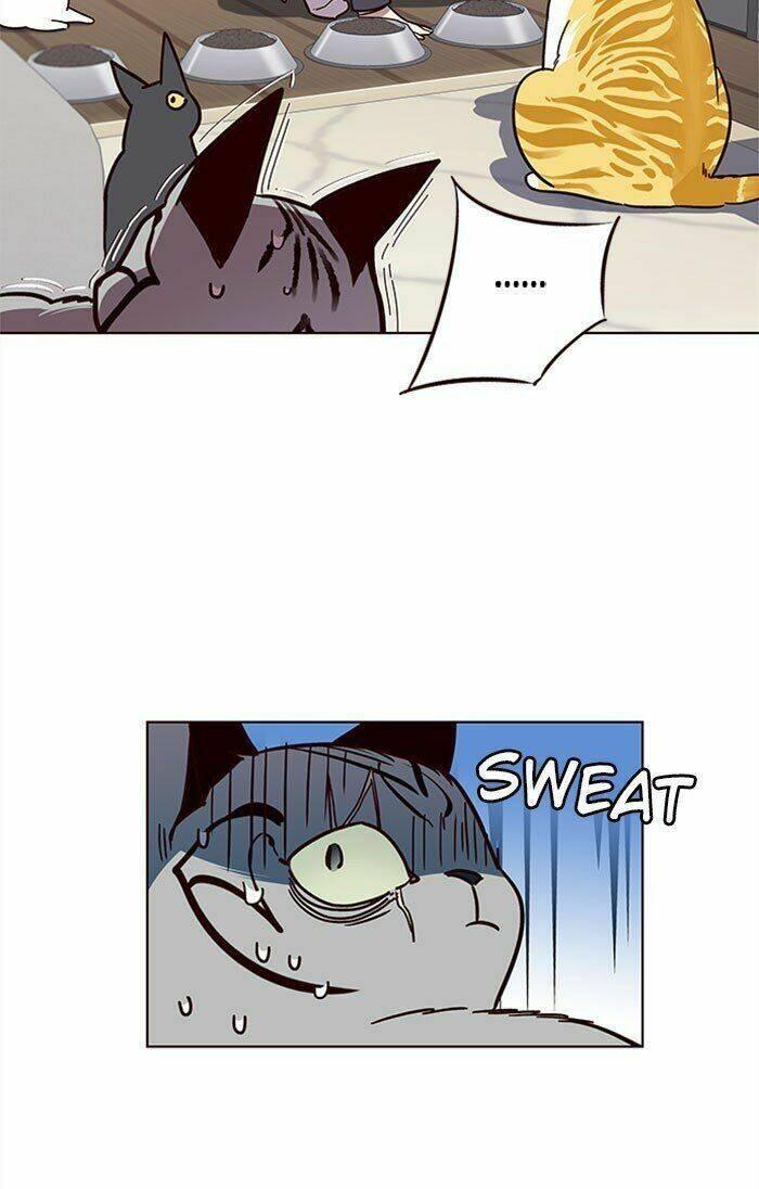 biến thân thành mèo chapter 37 36