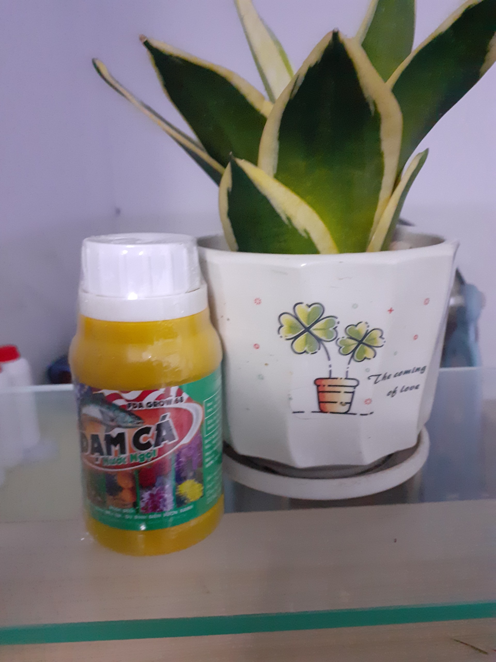 Chai 100ml Đạm cá nước ngọt FDA Grow 68
