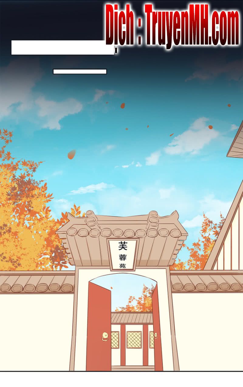 solo đi vương gia chapter 60 14