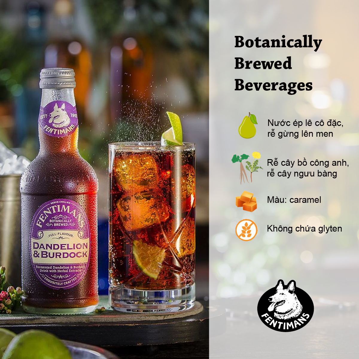 Fentimans Tonic Soda Chanh Vị Bồ Công Anh Và Ngưu Bàng Danderlion and Burdock Anh Quốc 275ml x Lốc 4 Chai