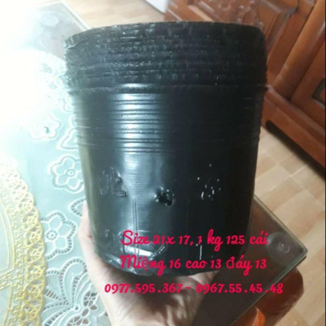 1kg bầu ươm cây 21x17 / 100 cái