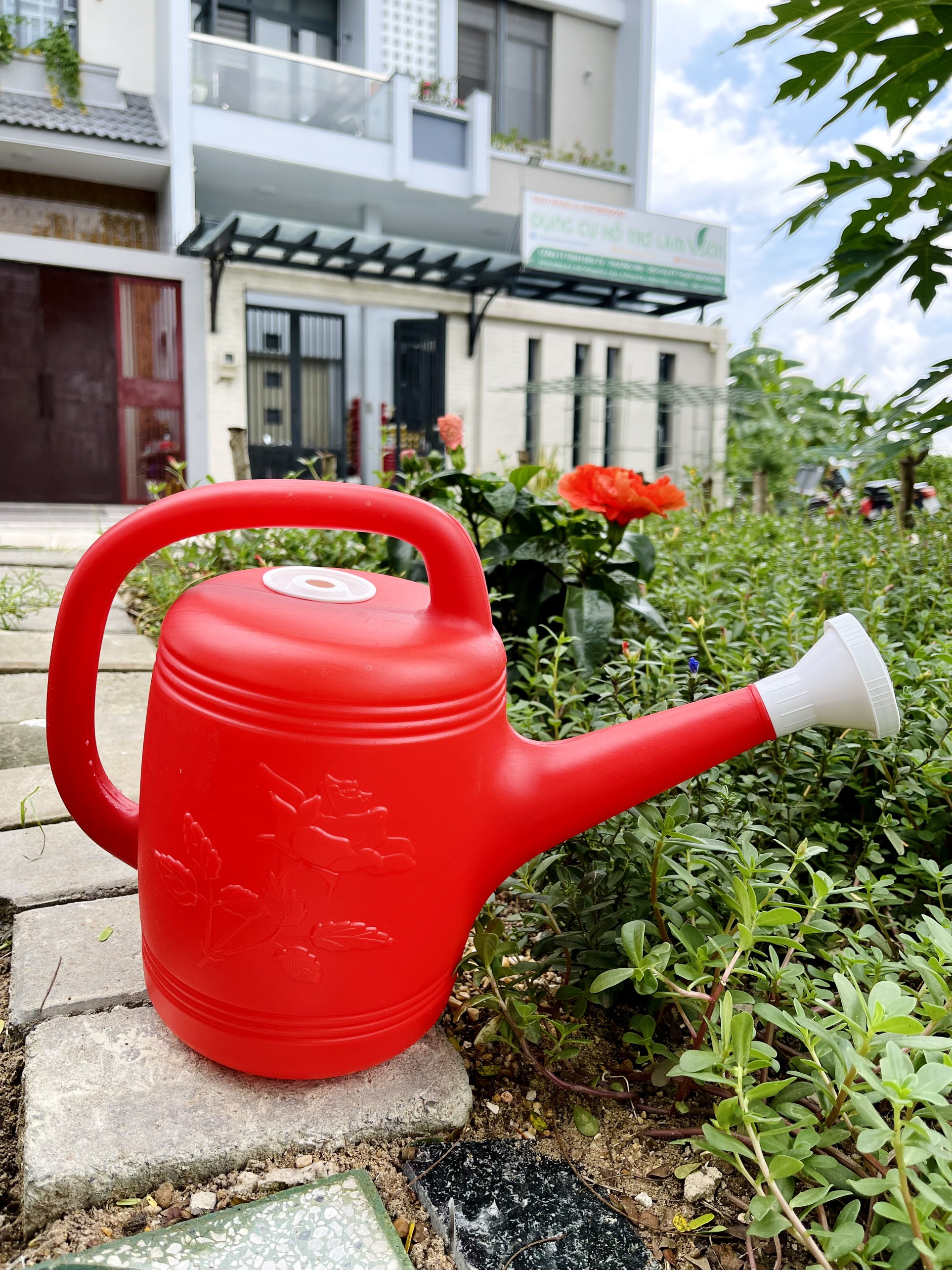 Bình tưới mẫu vòi sen 3Lít