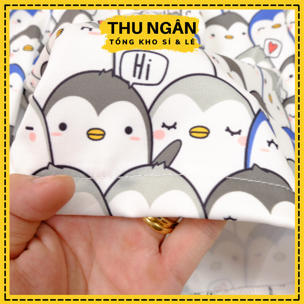 Quần Đùi Nữ Thun Cao Cấp Cotton Loại 1 Mặc Nhà Và Đi Chơi 20009