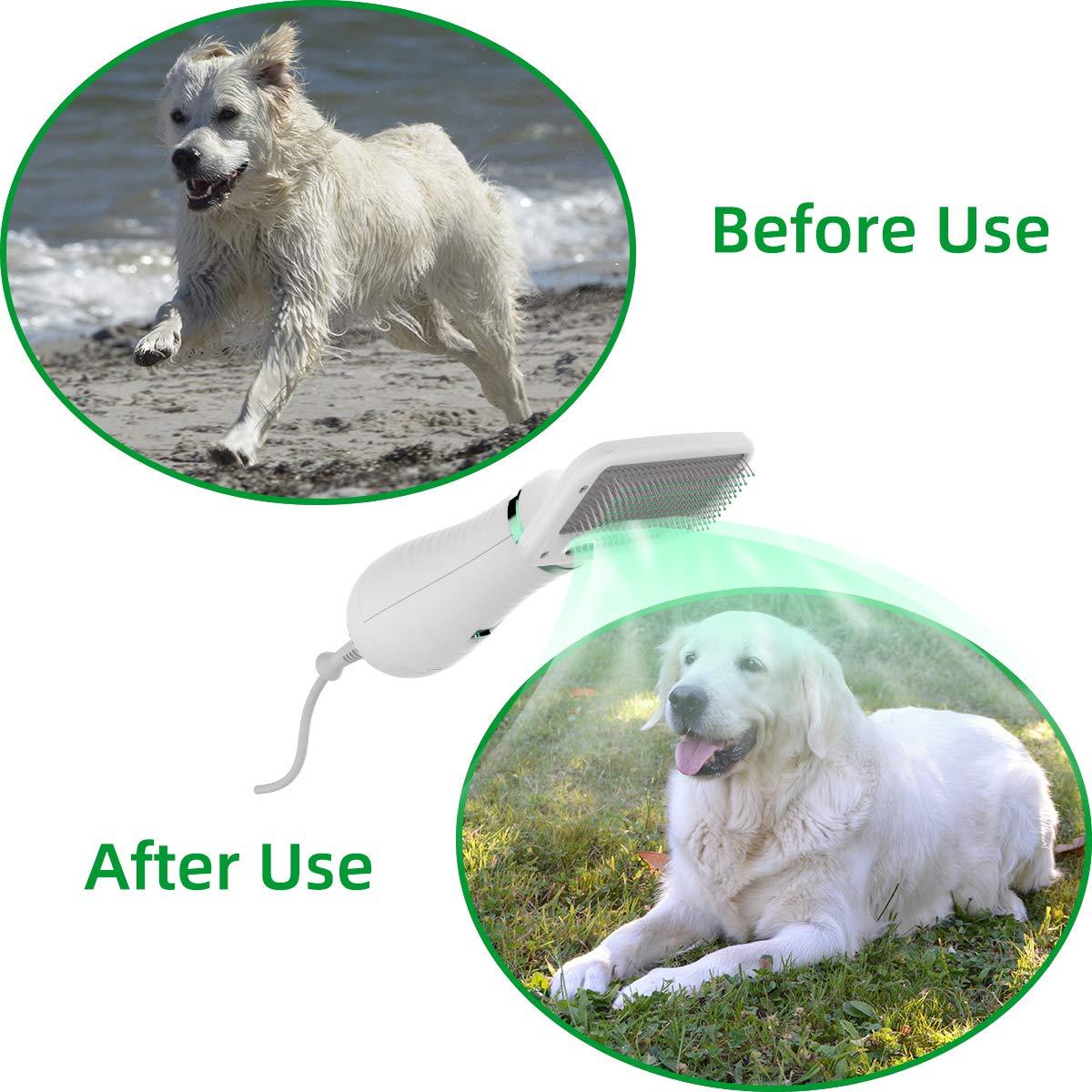 Hình ảnh Máy sấy tóc thú cưng, máy sấy tóc 2 trong 1 thú cưng, với các thiết lập 2 nhiệt độ có thể điều chỉnh