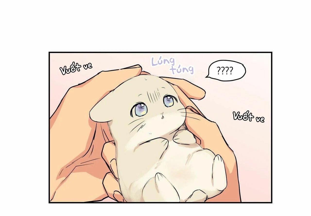 không chốn yêu đương chapter 65 38