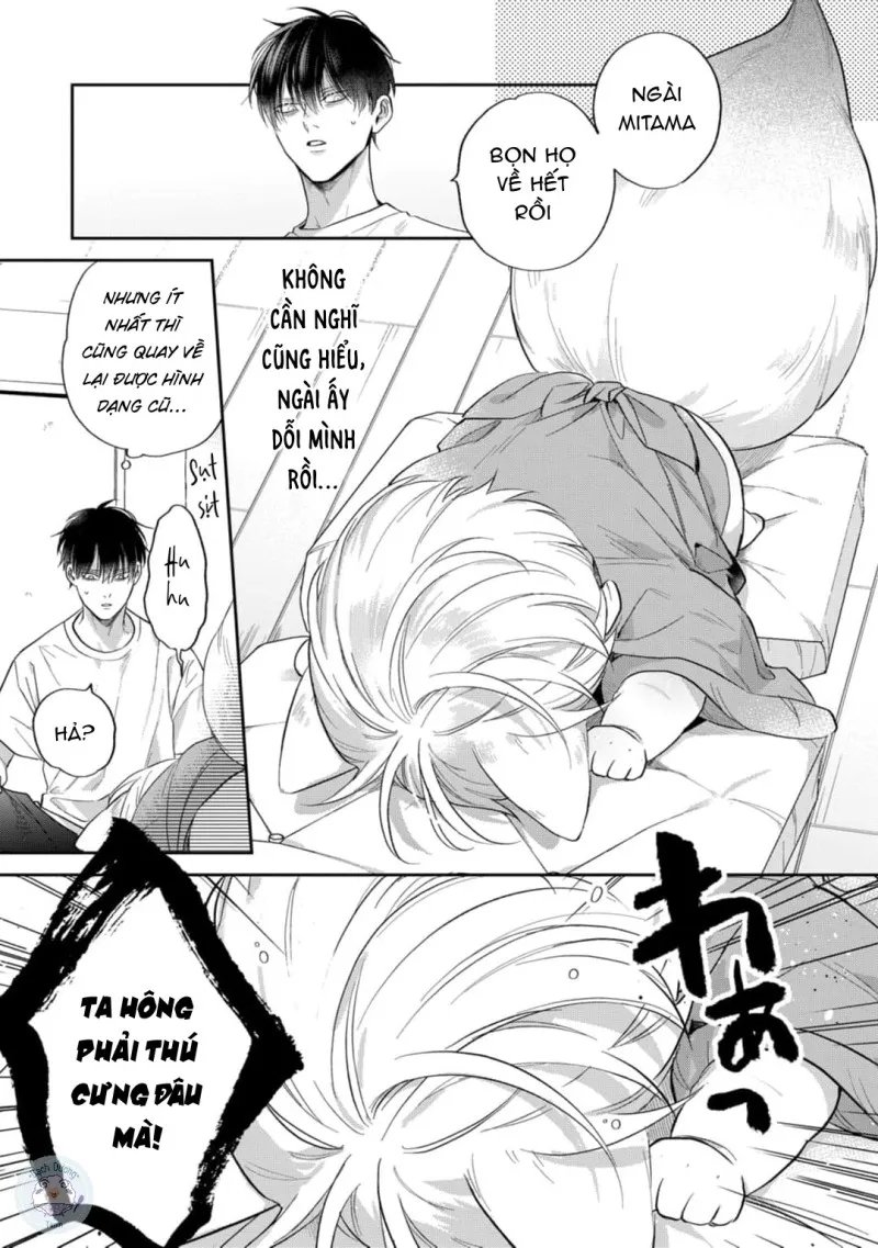 đặc ân của yêu hồ chapter 4 21