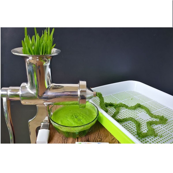 Máy ép trái cây – cỏ lúa mì bằng tay chất liệu inox Manual Wheet Grass Juicer