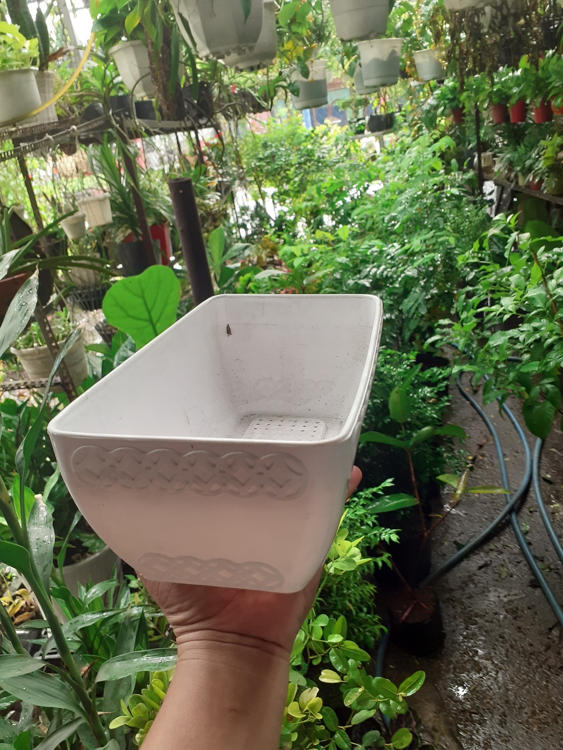 1 Cái chậu nhựa (mủ) trồng cây hình chữ nhật đồng tiền