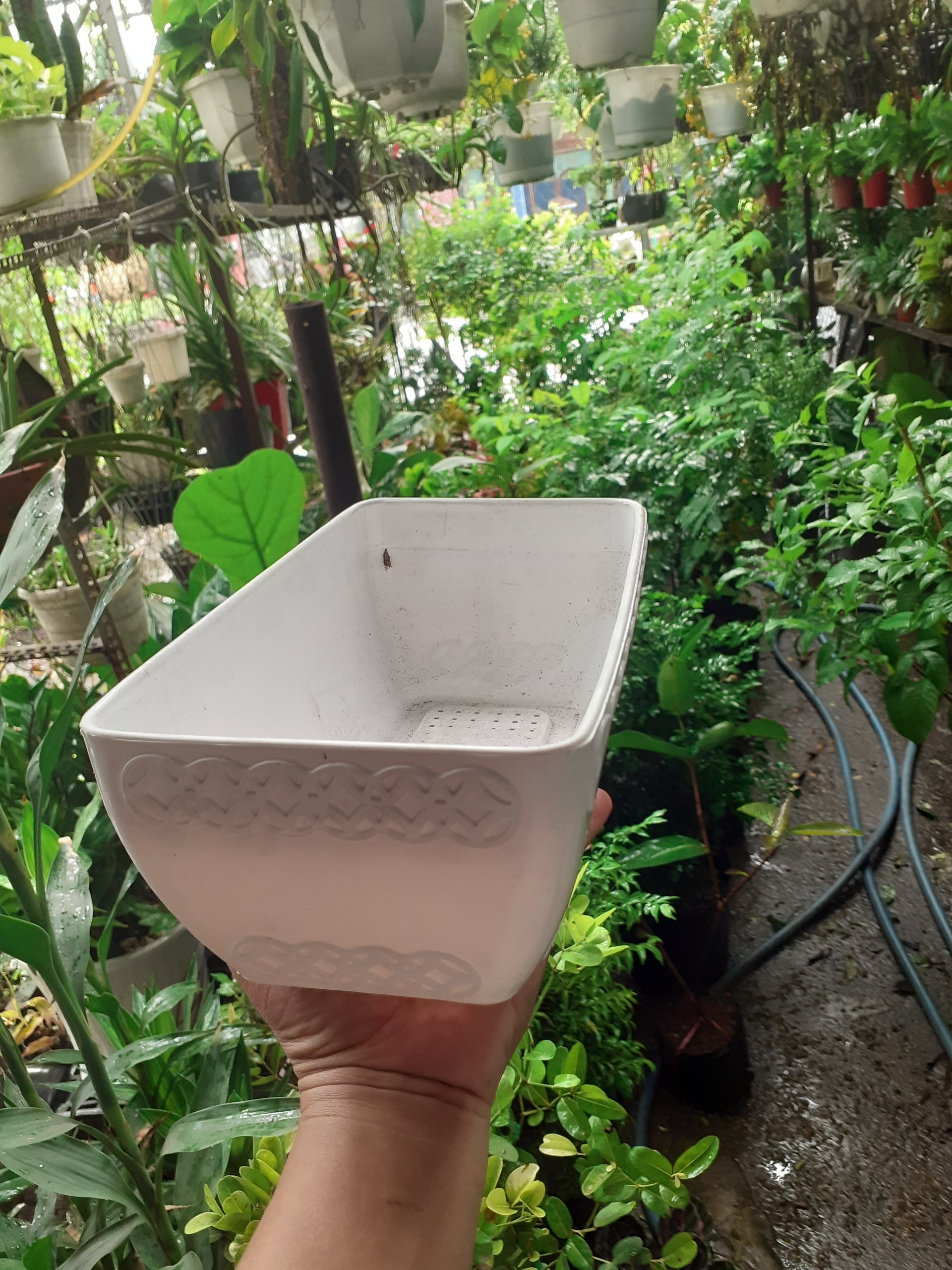 1 Cái chậu nhựa trồng cây hình chữ nhật đồng tiền
