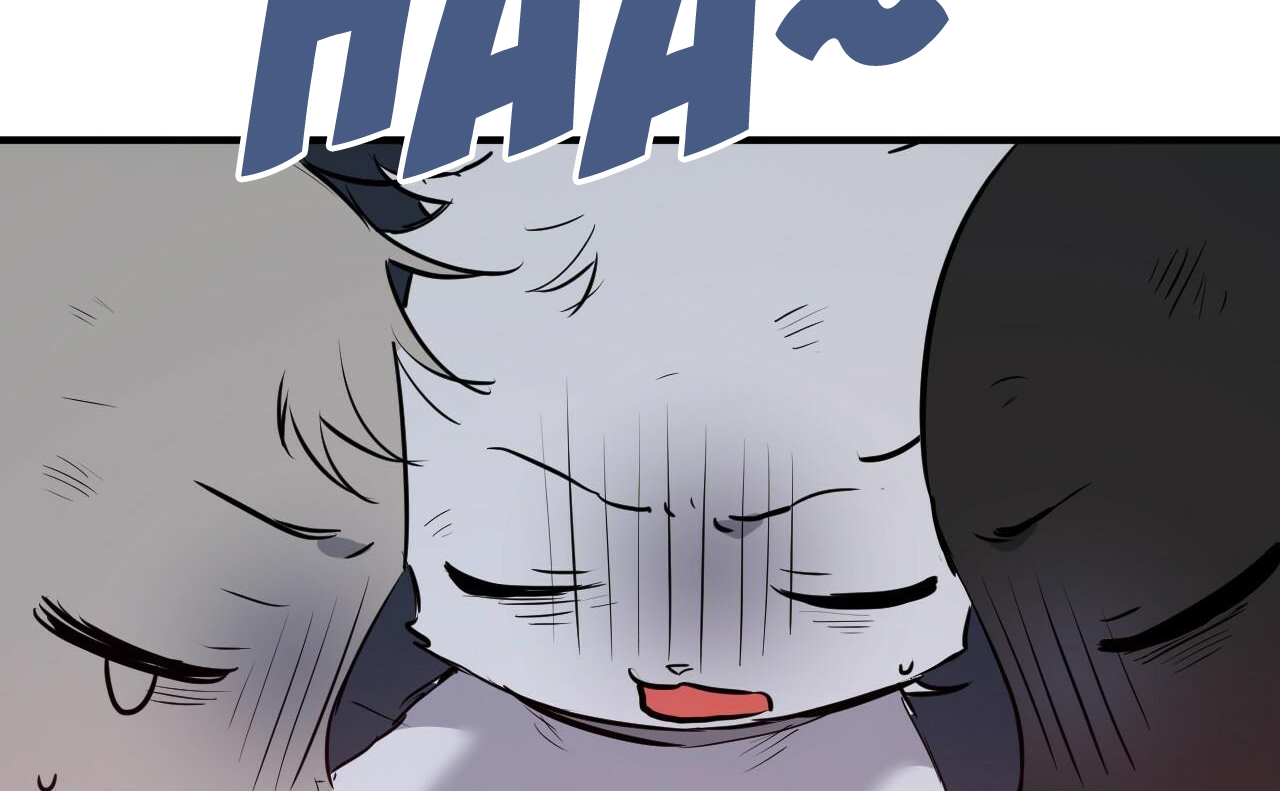 đàn thỏ của habibi chapter 46 126