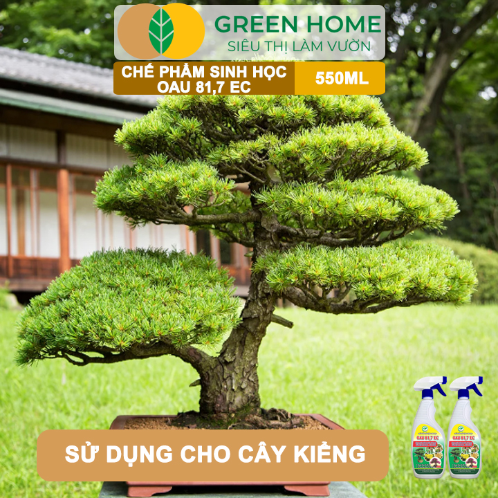Chế Phẩm Trừ Bệnh Sinh Học OAU 81.7 EC GreenHome, Chai 550Ml, Đặc Trị Và Phòng Ngừa Các Loại Nấm Bệnh Cho Cây Hoa Và Cây Kiểng