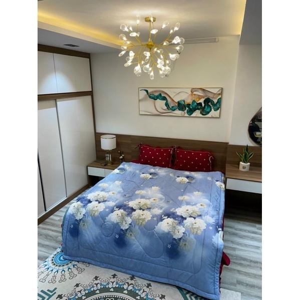 Chăn lụa lạnh tencel_ Loại 1_ mềm mịn mát dành cho mùa hè, chăn trần đã trần bông kích thước 2mx2m3