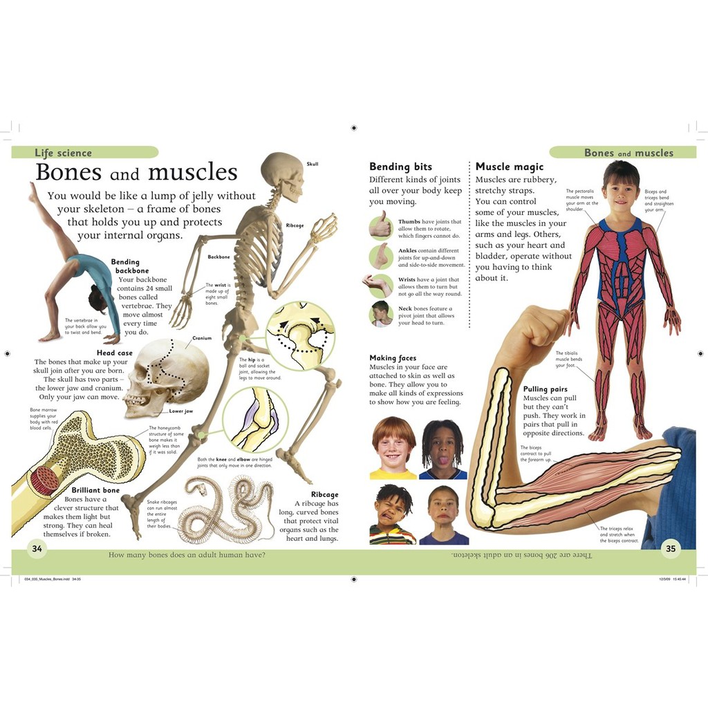 Sách: First Science Encyclopedia - Kiến Thức Tổng Hợp Về Khoa Học