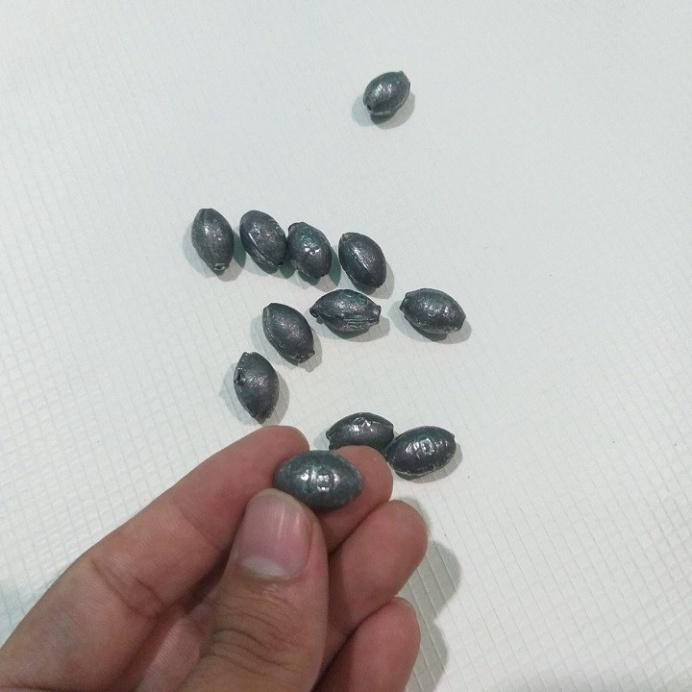 1Kg chì xuyên tâm câu cá 10g, 15g, 20g - 100g