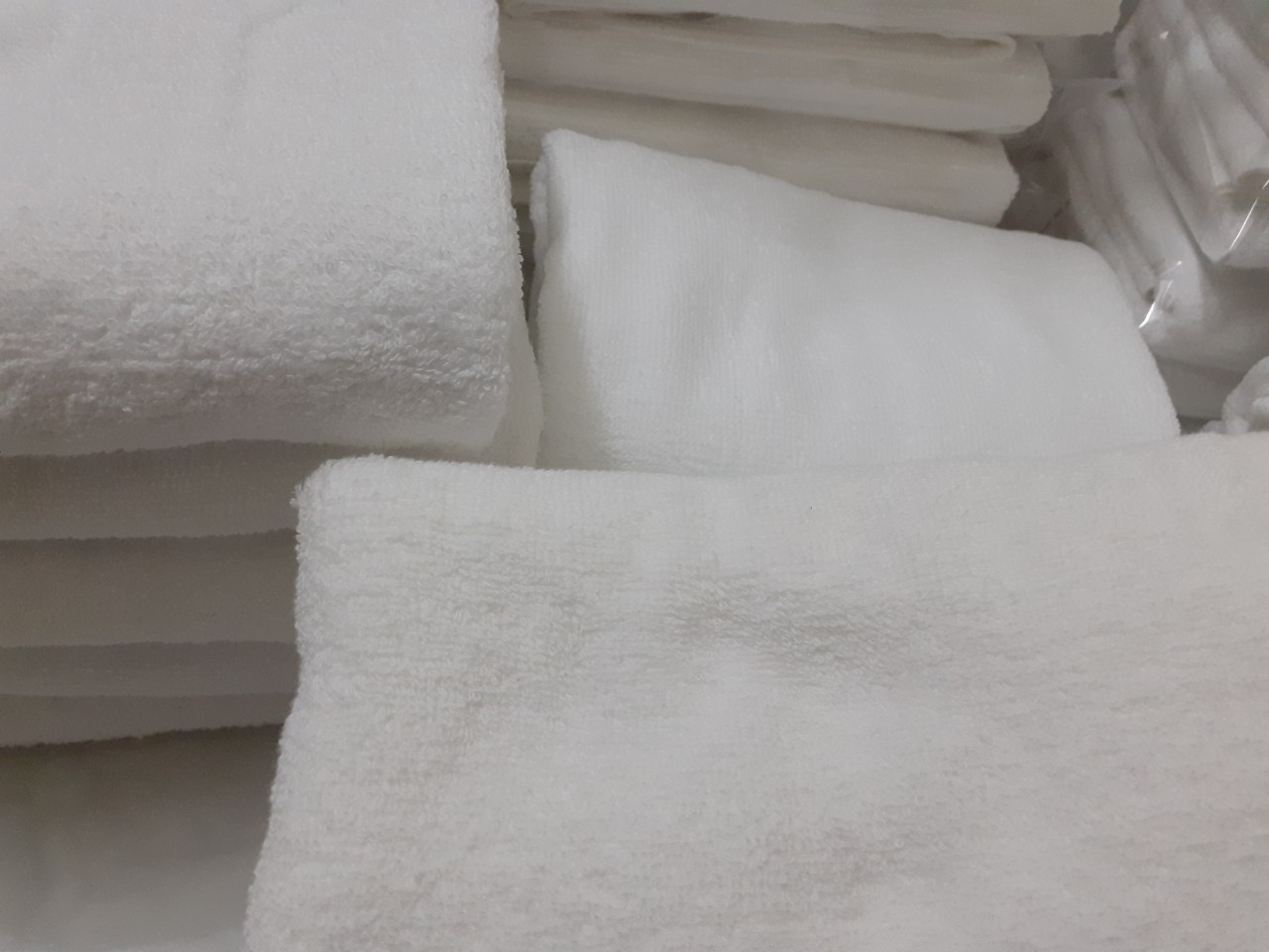 Combo 10 cái Khăn gội bestke 100% cotton xuất khẩu dư, mềm mại và thấm hút, màu trắng hotel, Cotton towels, towels manufacturer