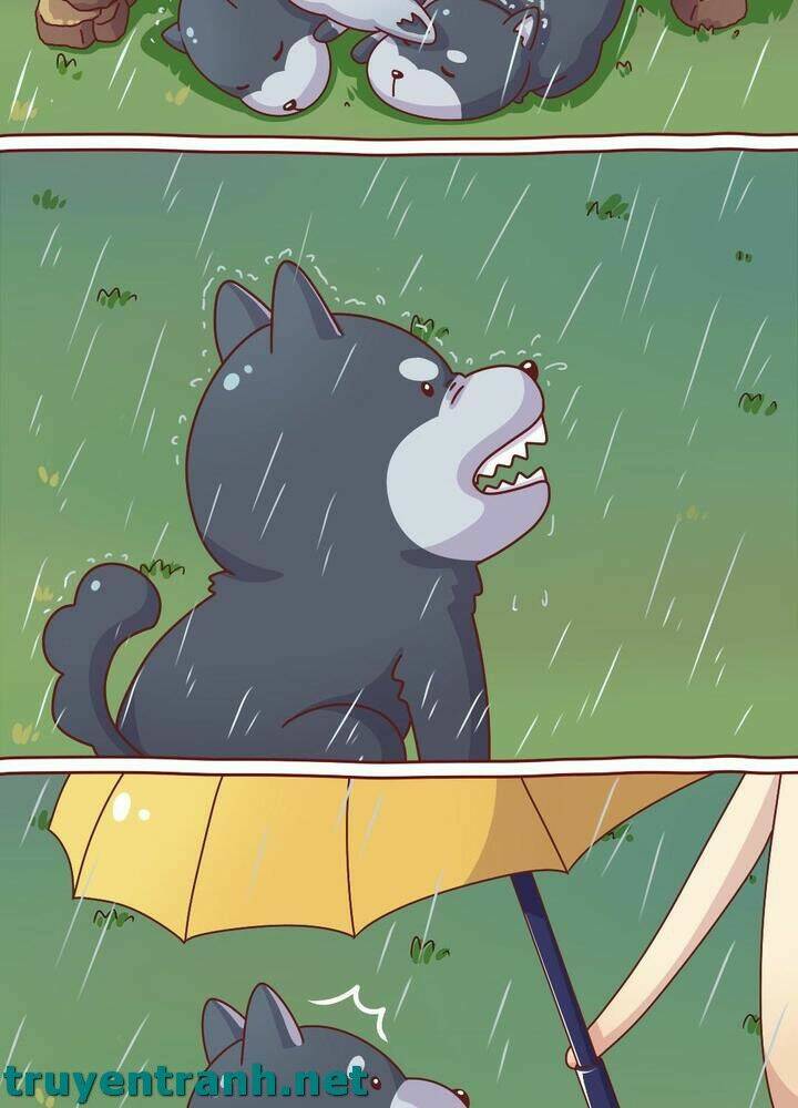 cây nấm kì khả chapter 10 12